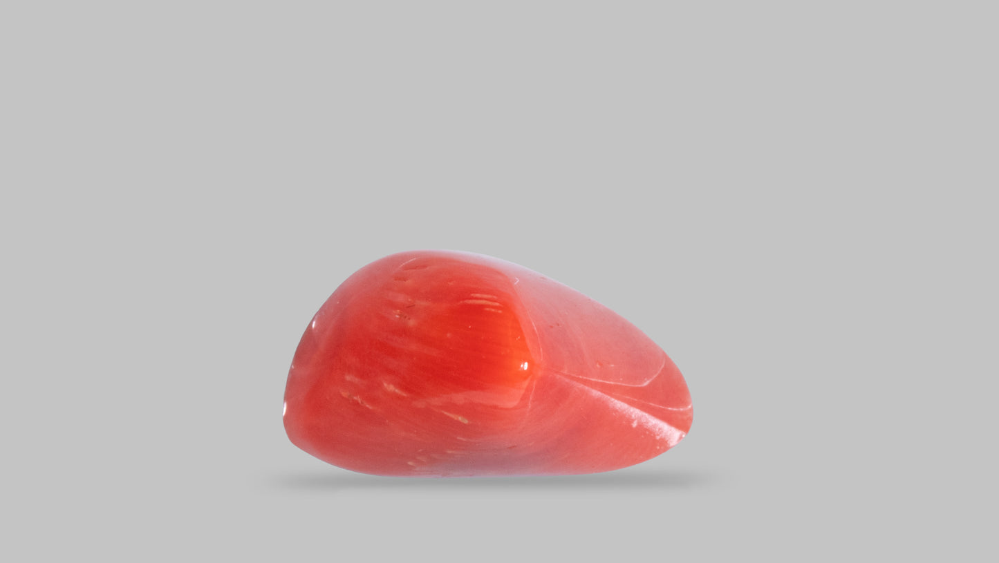 Natural Italian Red Coral (Moonga) 9.01 Carats