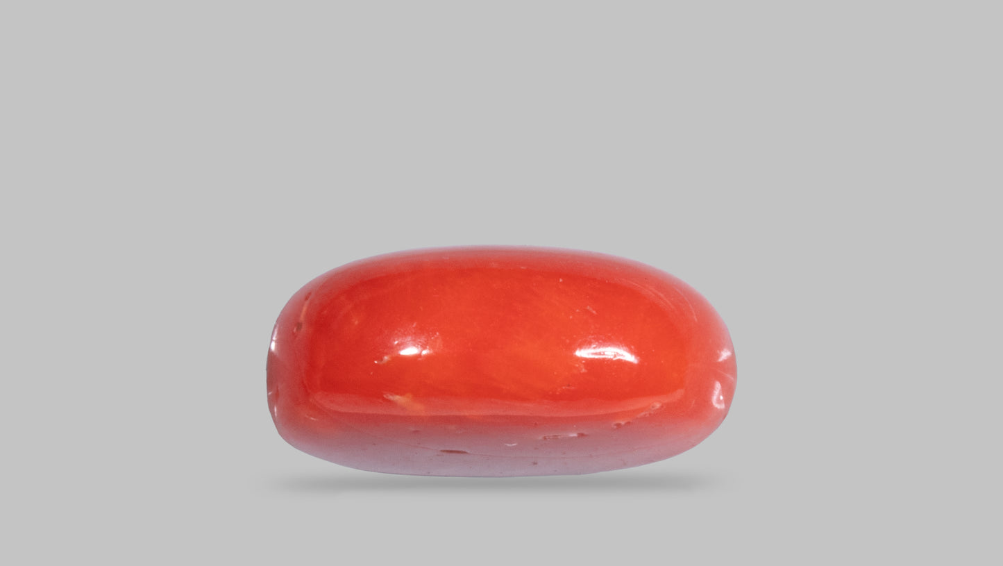 Natural Italian Red Coral (Moonga) 10.38 Carats