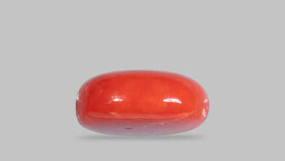 Natural Italian Red Coral (Moonga) 10.38 Carats