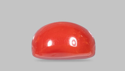 Natural Italian Red Coral (Moonga) 12.22 Carats