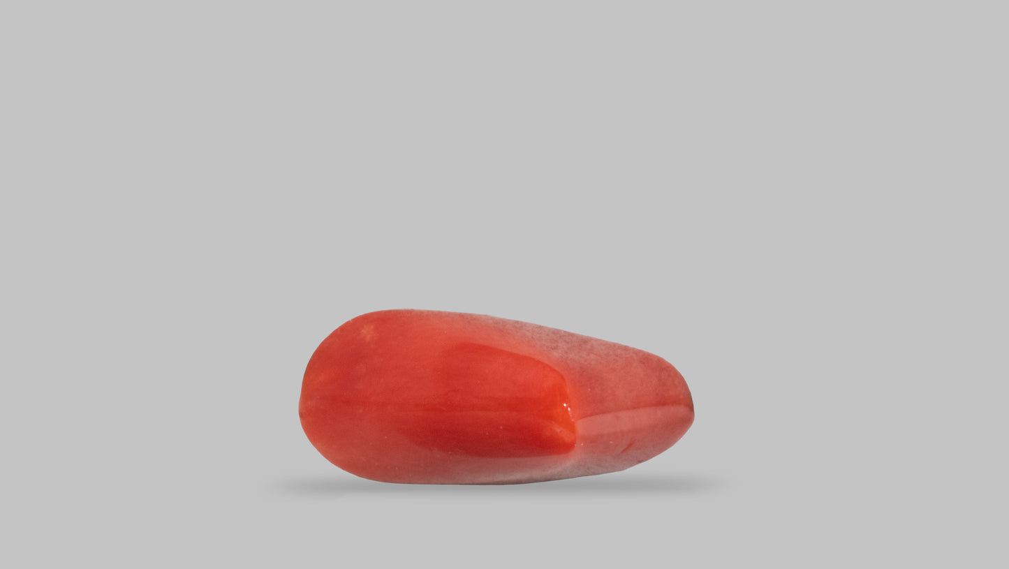 NATURAL RED CORAL (MOONGA) 6.20 CARATS