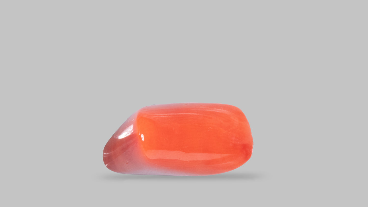 Natural Italian Red Coral (Moonga) 9.06 Carats