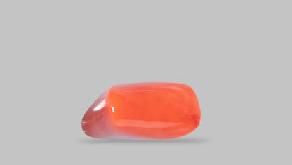 Natural Italian Red Coral (Moonga) 9.06 Carats