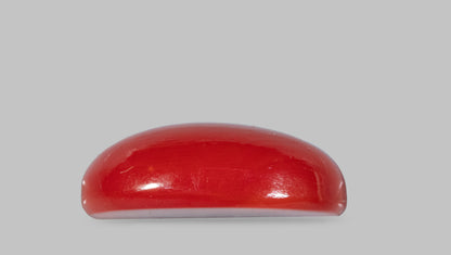 Japanese Red Coral (Moonga) 5.57 Carats