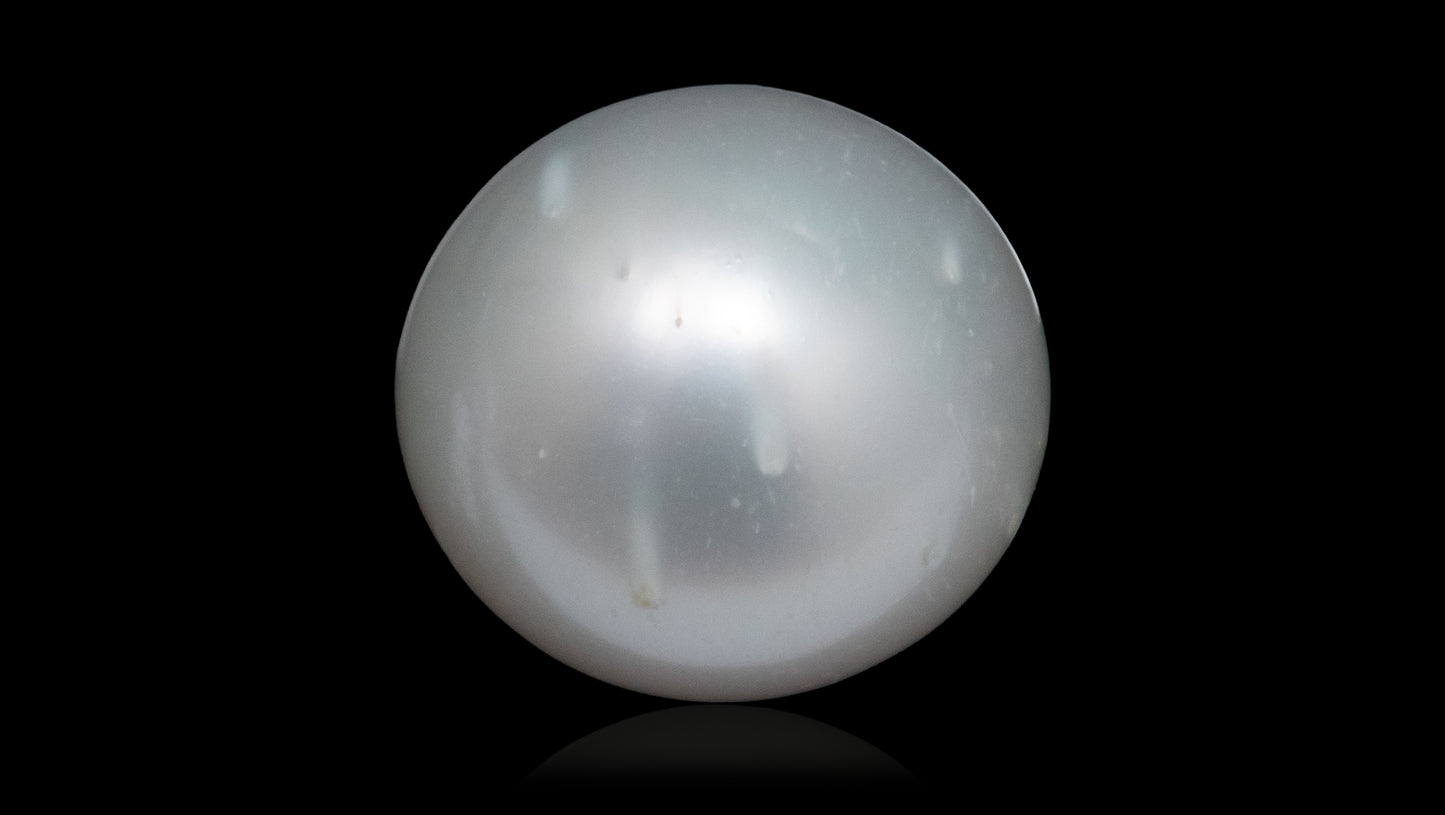 South Sea Pearl 7.73 Carats