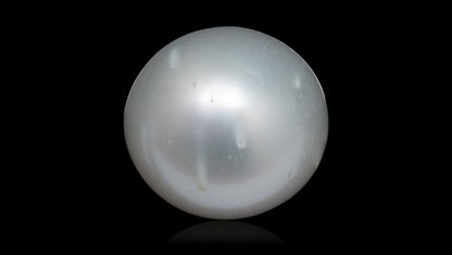 South Sea Pearl 7.73 Carats