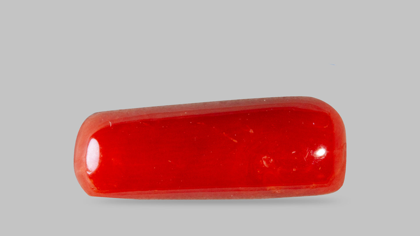 Natural Italian Red Coral (Moonga) 8.18 Carats