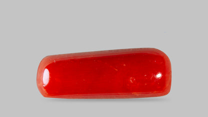 Natural Italian Red Coral (Moonga) 8.18 Carats
