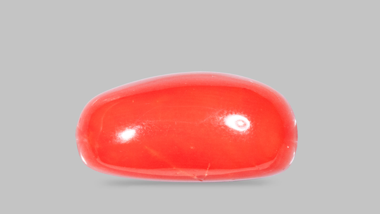 Natural Italian Red Coral (Moonga) 11.50 Carats