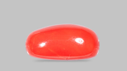 Natural Italian Red Coral (Moonga) 11.50 Carats