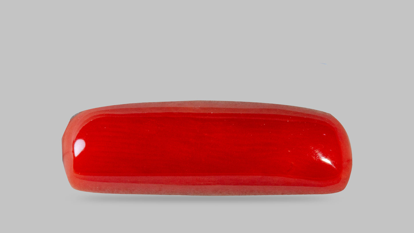 Natural Italian Red Coral (Moonga) 7.87 Carats