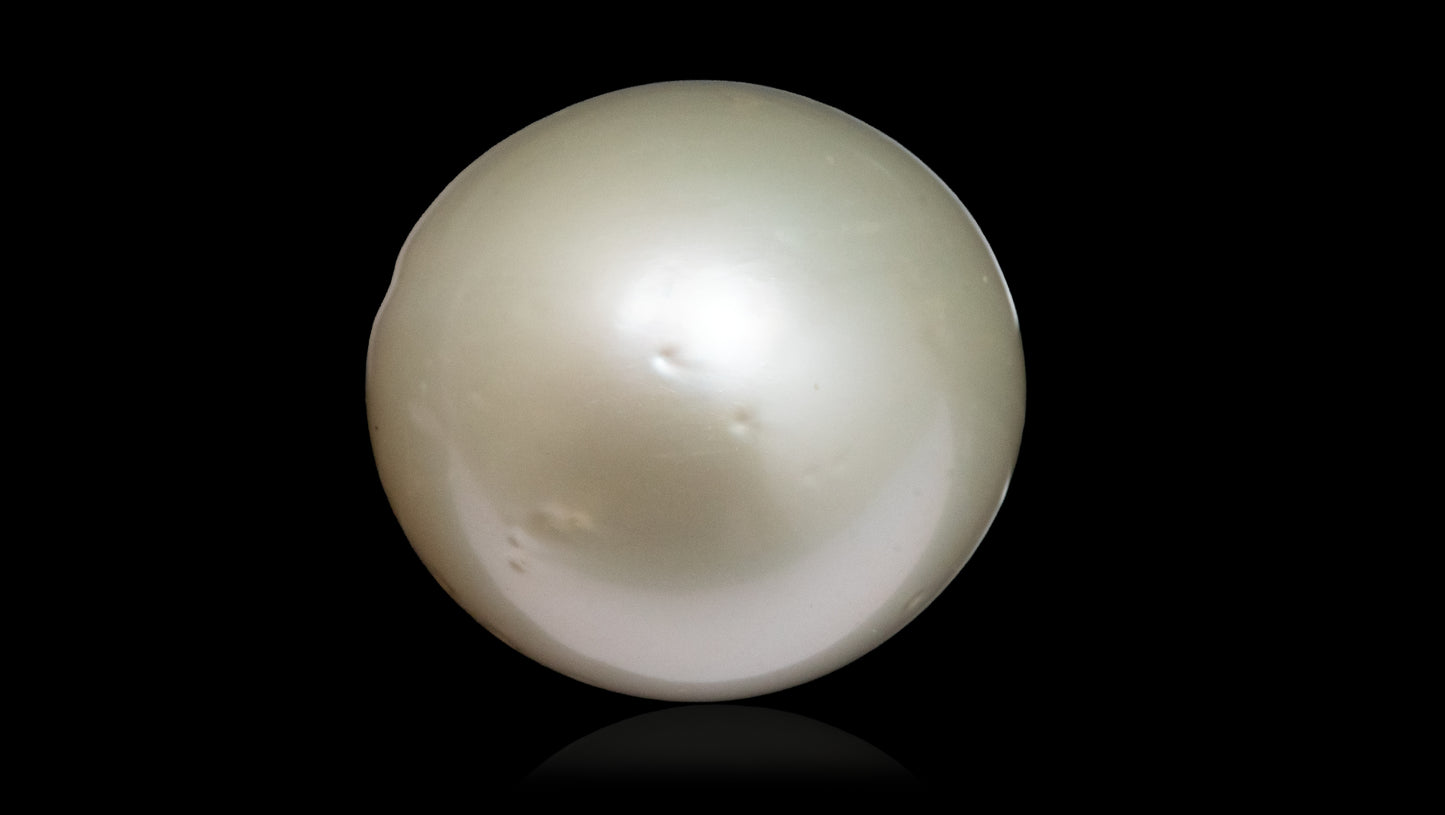 South Sea Pearl 16.37 Carats