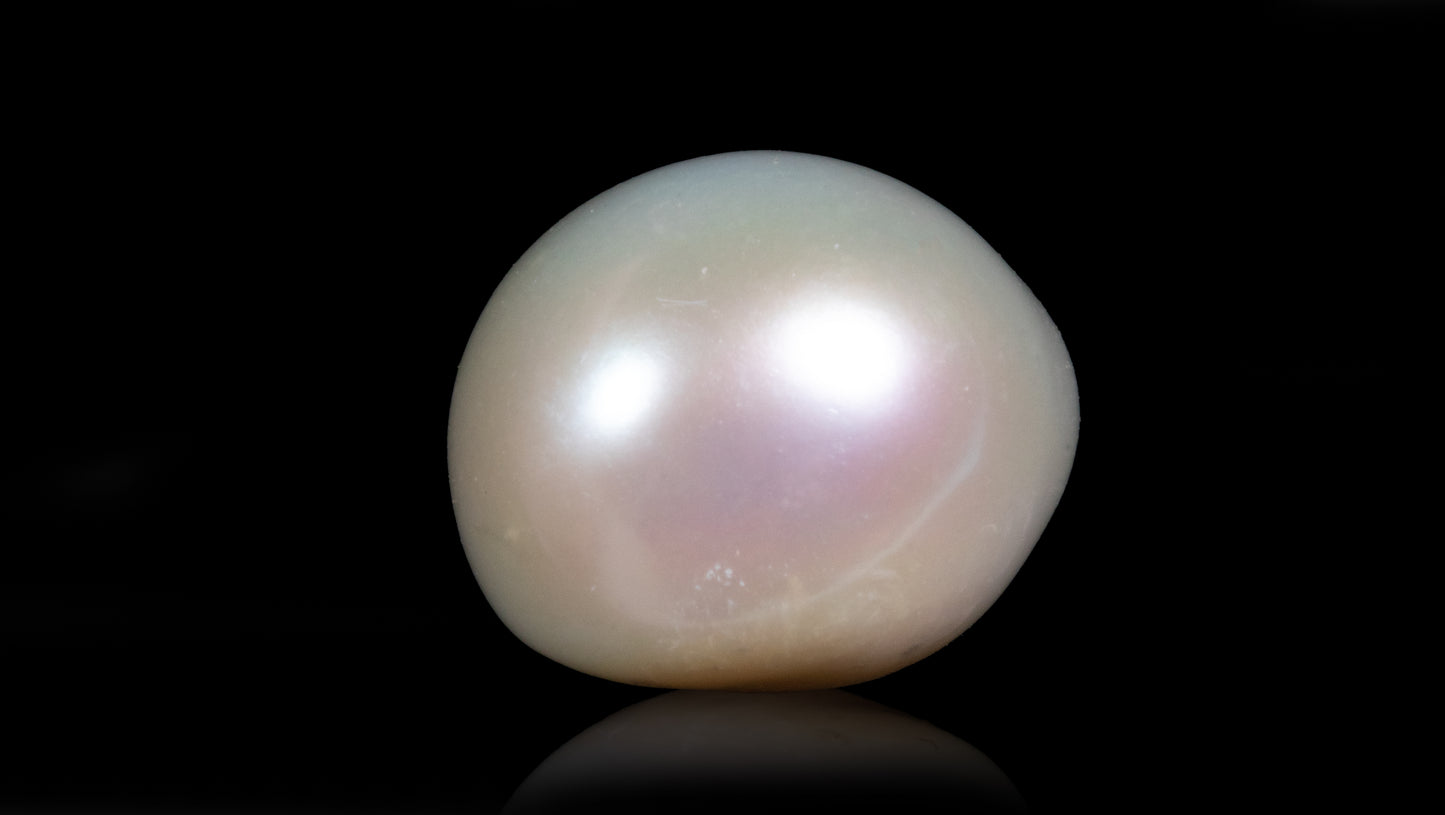 Fresh Water Pearl (Moti) 9.73 Carats