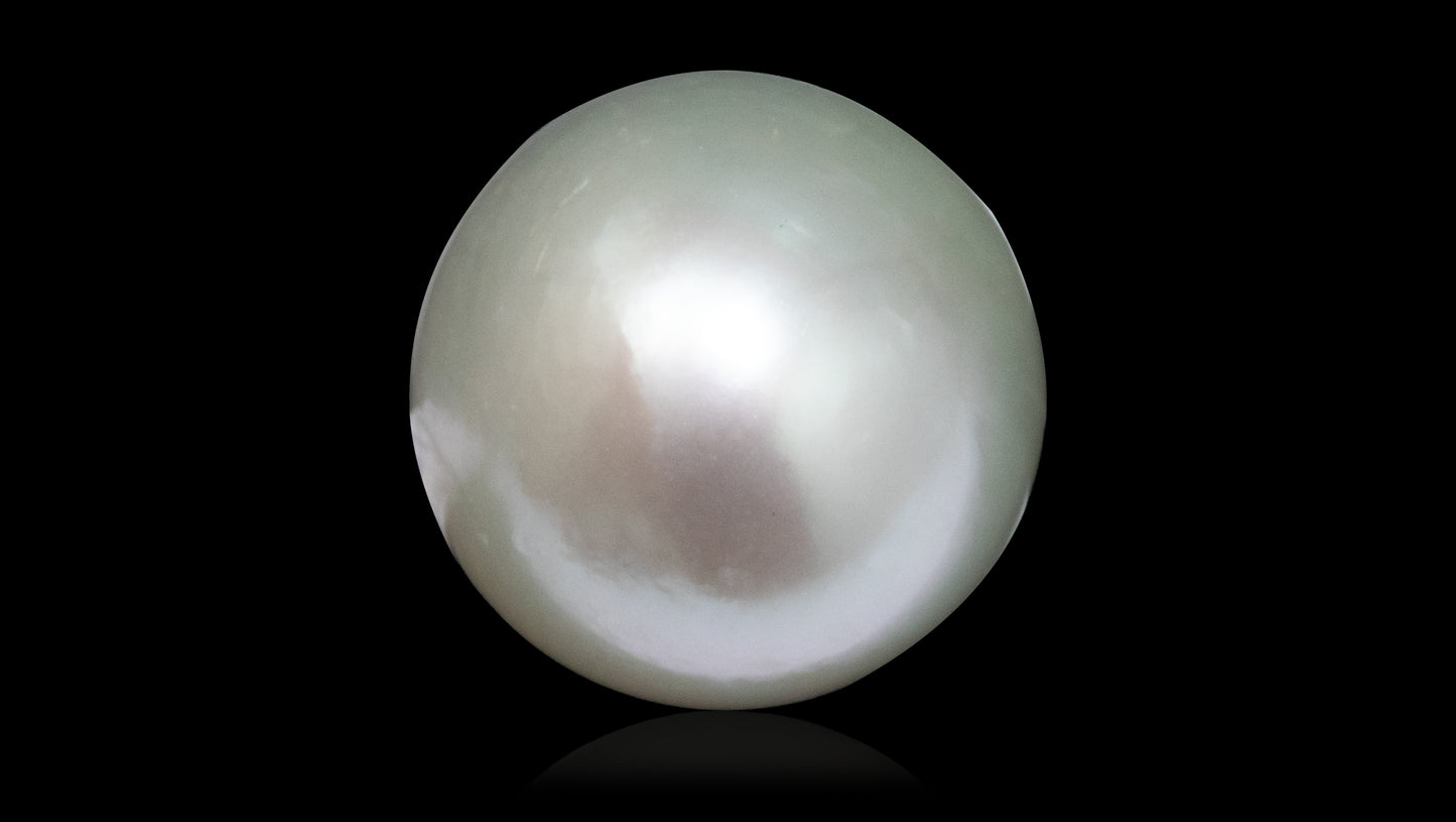 South Sea Pearl 8.81 Carats