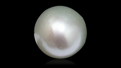 South Sea Pearl 8.81 Carats
