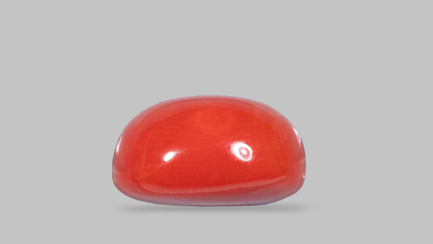 Natural Italian Red Coral (Moonga) 8.78 Carats
