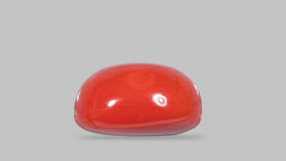 Natural Italian Red Coral (Moonga) 8.78 Carats