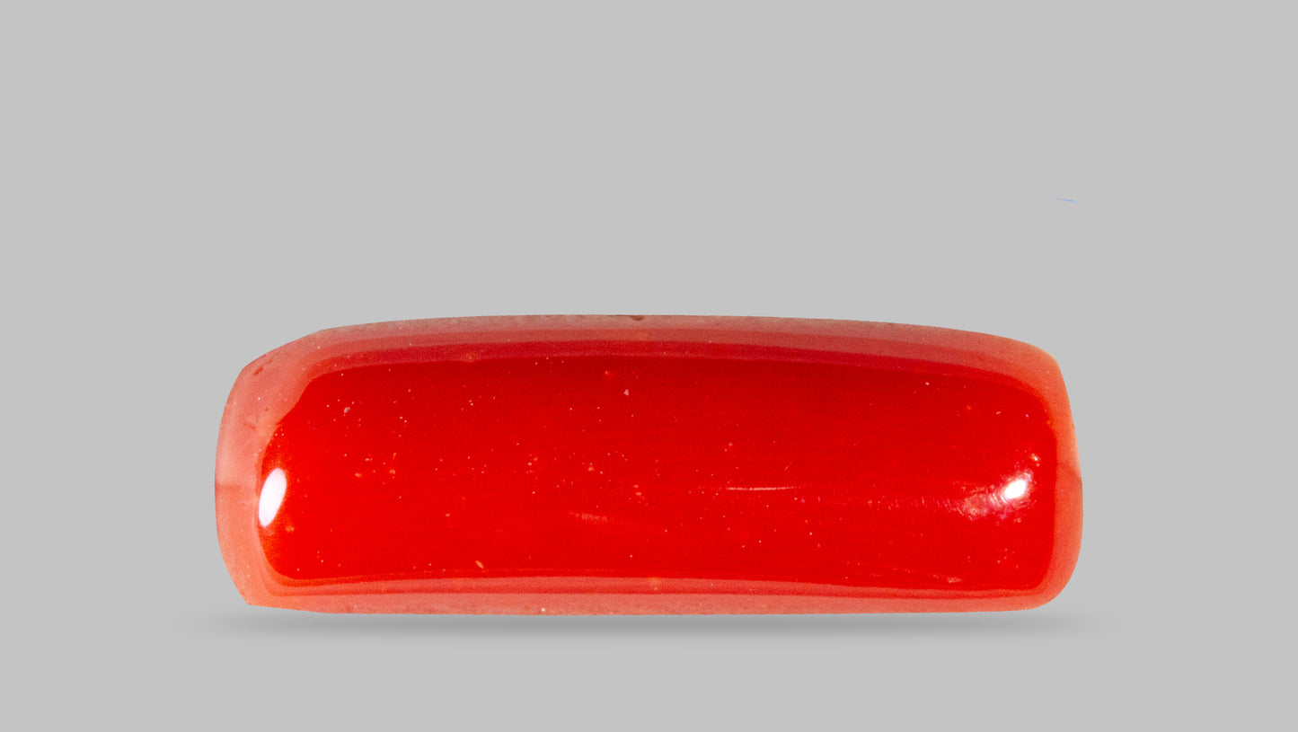 Natural Italian Red Coral (Moonga) 7.88 Carats