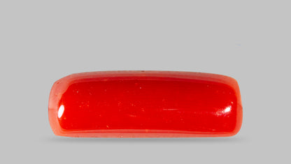 Natural Italian Red Coral (Moonga) 7.88 Carats