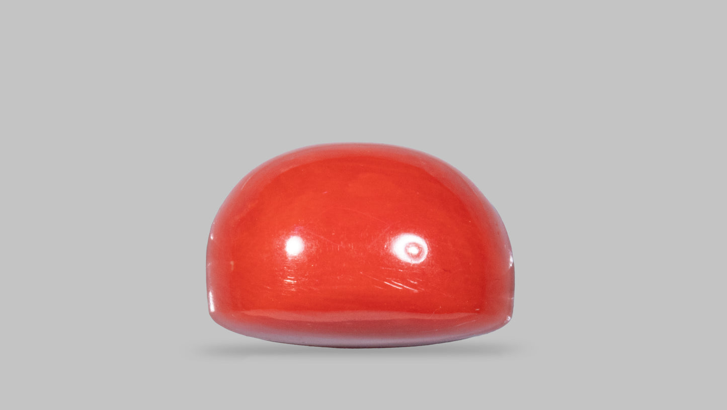 Natural Italian Red Coral (Moonga) 13.26 Carats