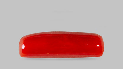 Natural Italian Red Coral (Moonga) 7.69 Carats