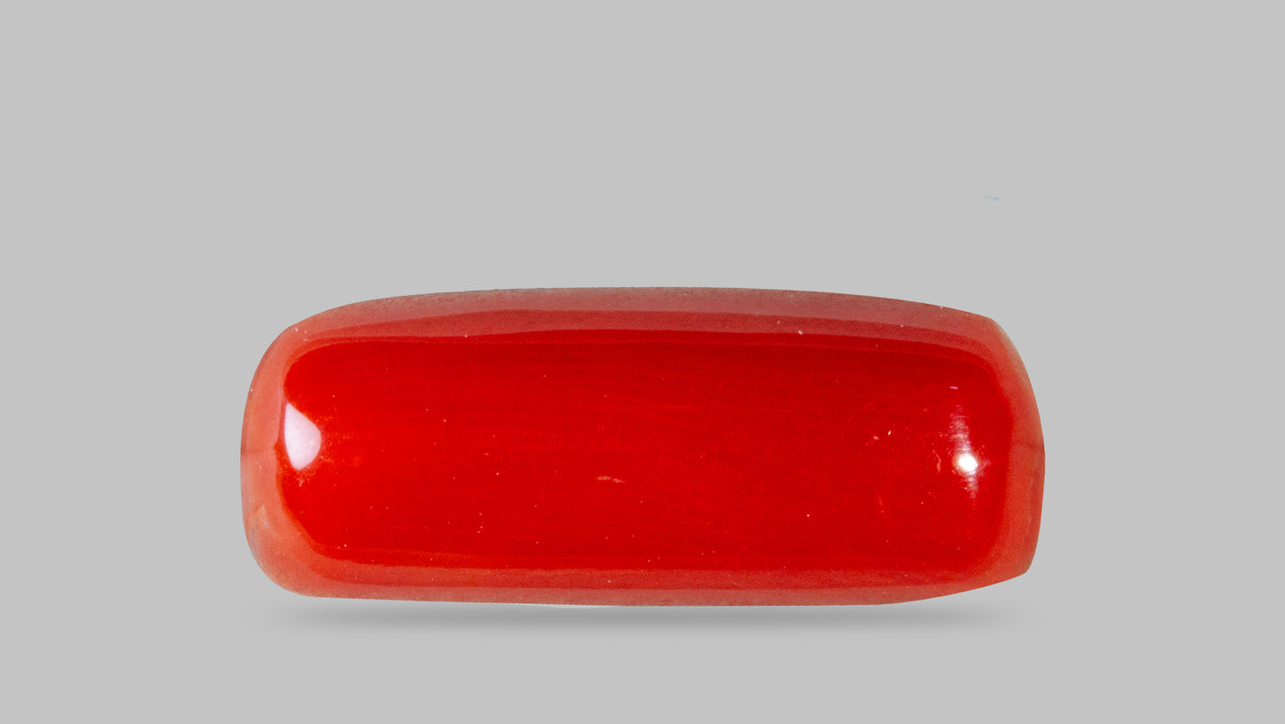 Natural Italian Red Coral (Moonga) 7.65 Carats
