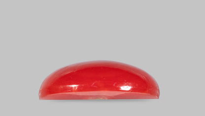 Japanese Red Coral(Moonga) 5.54 Carats