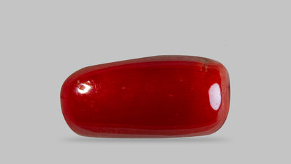 Natural Italian Red Coral (Moonga) 8.24 Carats
