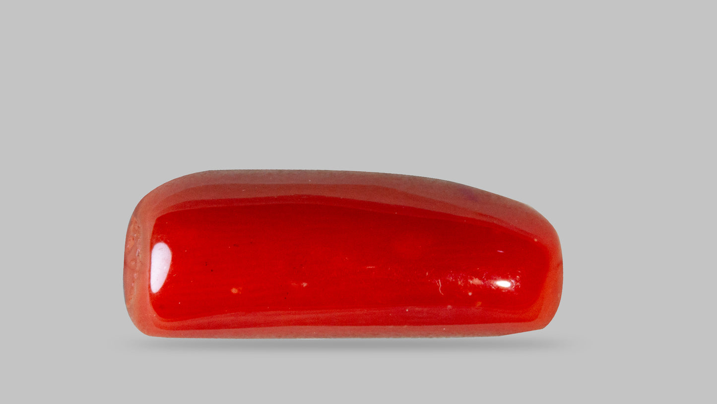 Natural Italian Red Coral (Moonga) 8.07 Carats