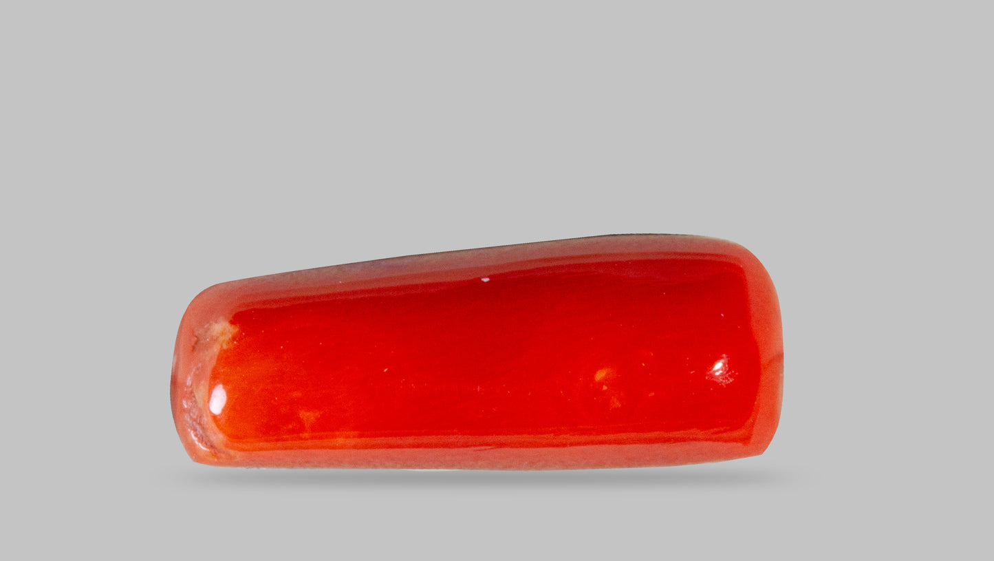 NATURAL RED CORAL (MOONGA) 8.06 CARATS