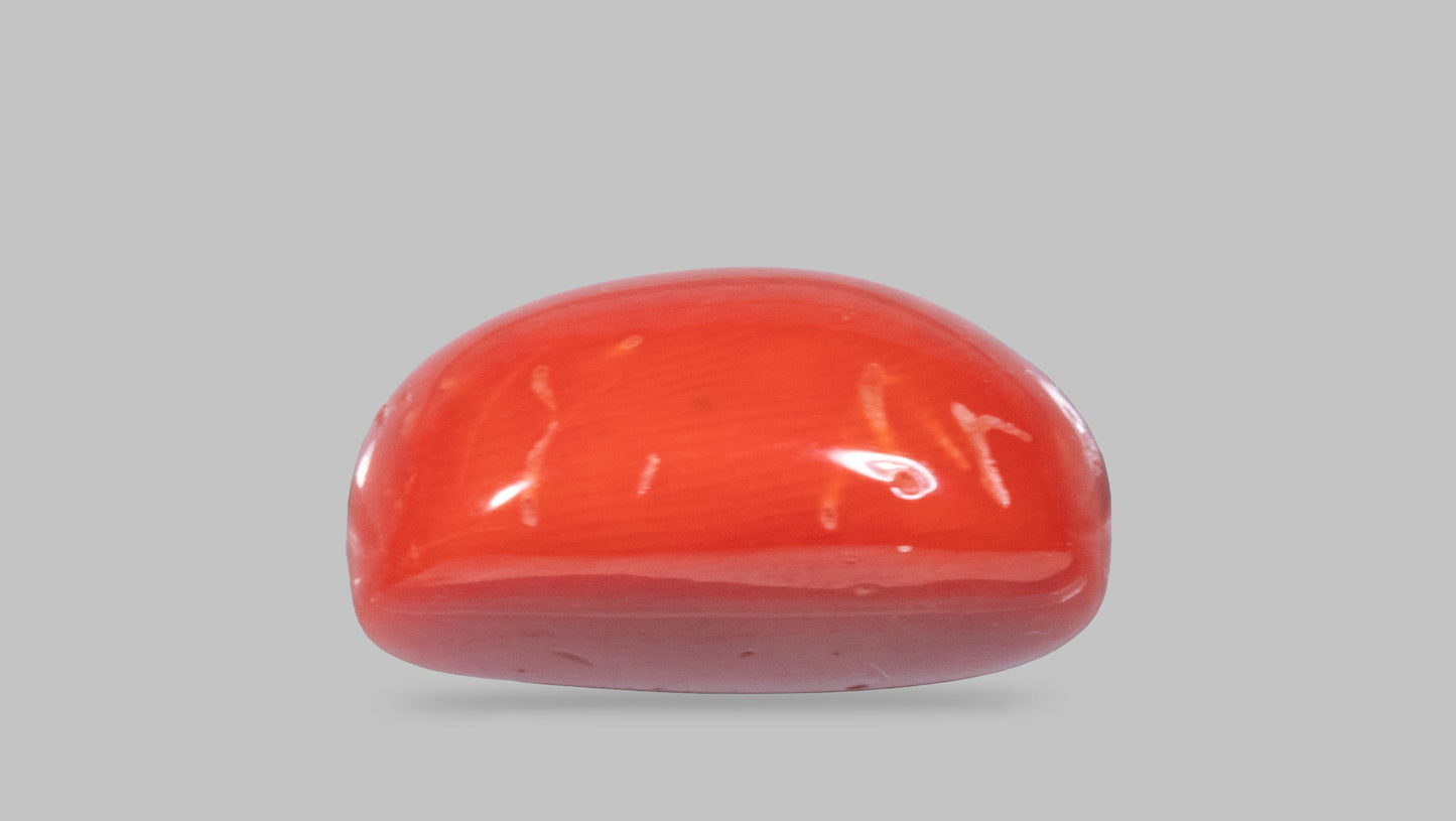 Natural Italian Red Coral (Moonga) 12.24 Carats