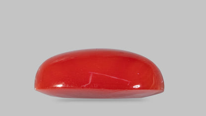 JAPANESE RED CORAL(MOONGA) 4.97 CARATS