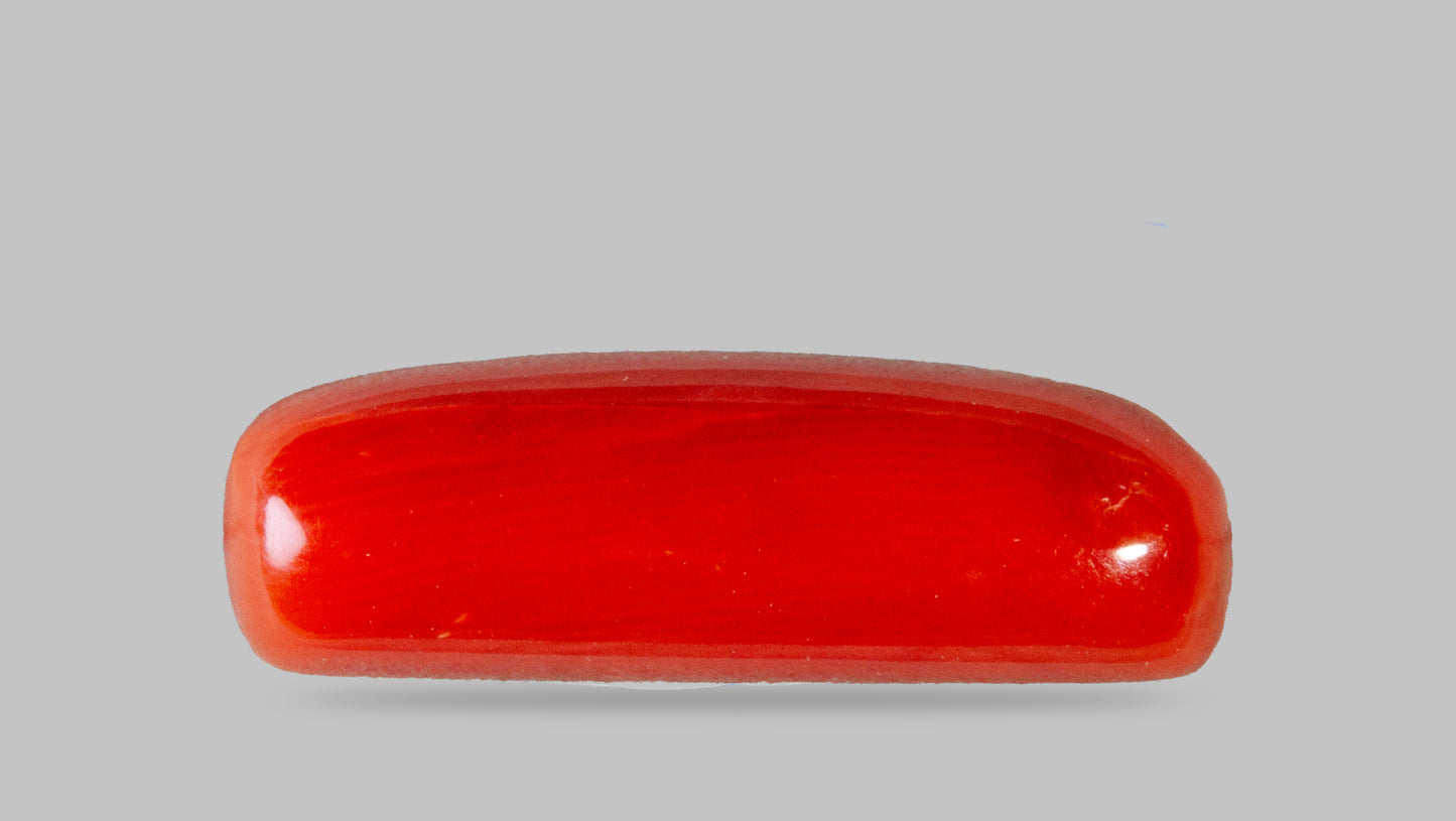 Natural Red Coral (Moonga) 7.50 Carats