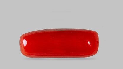 Natural Italian Red Coral (Moonga) 8.28 Carats