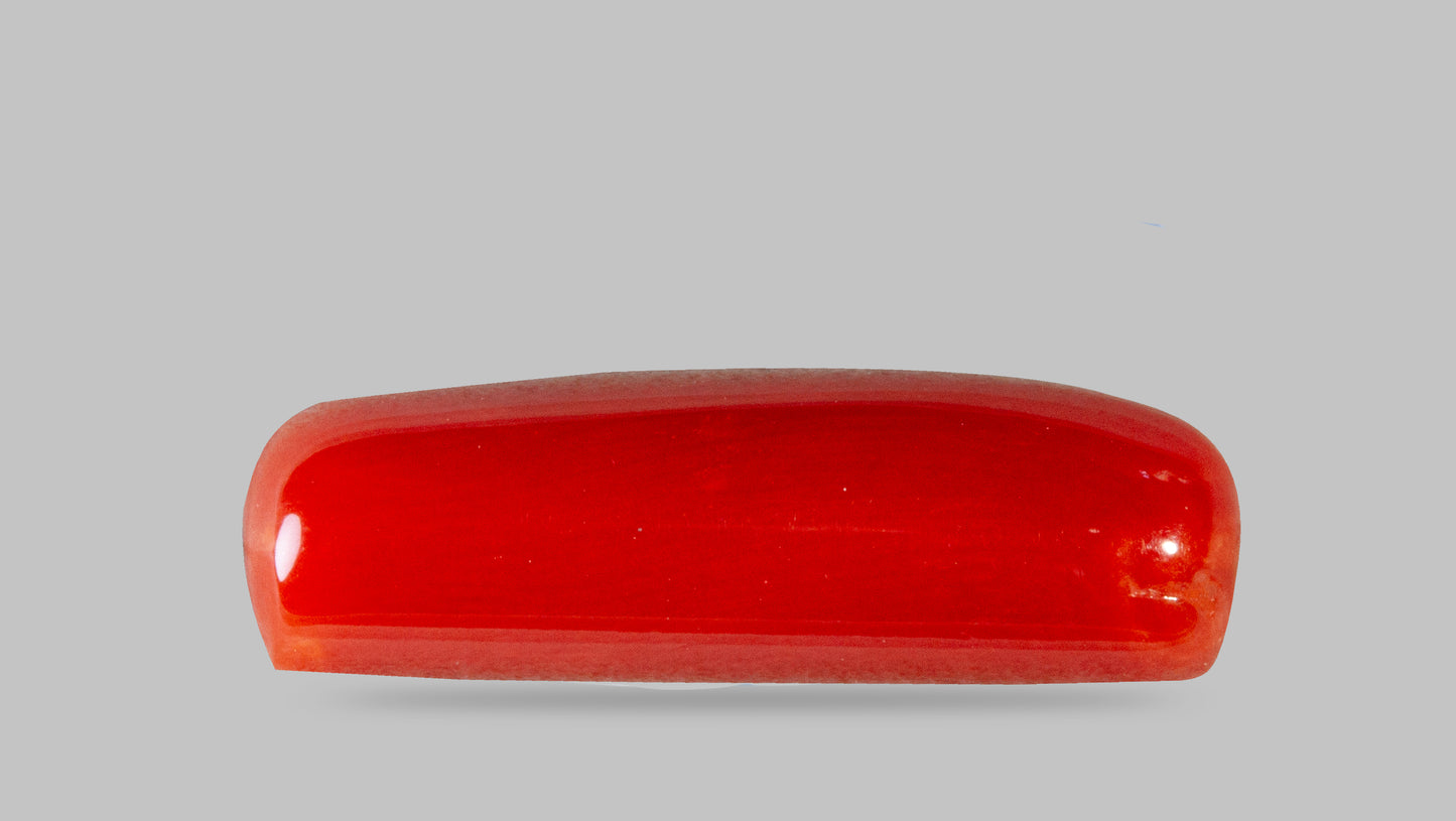 Natural Italian Red Coral (Moonga) 7.29 Carats