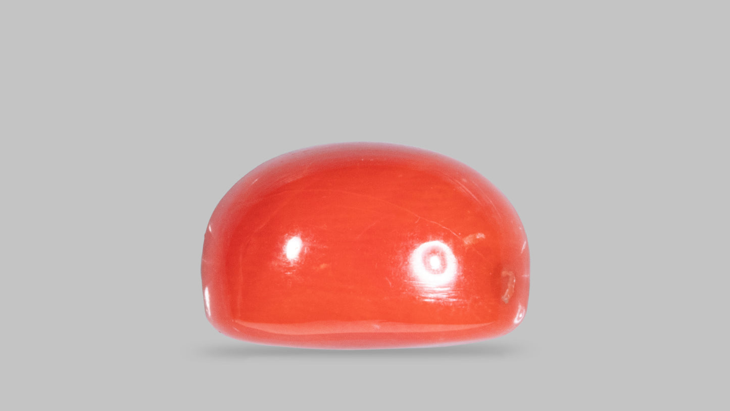 Natural Red Coral (Moonga) 8.27 Carats