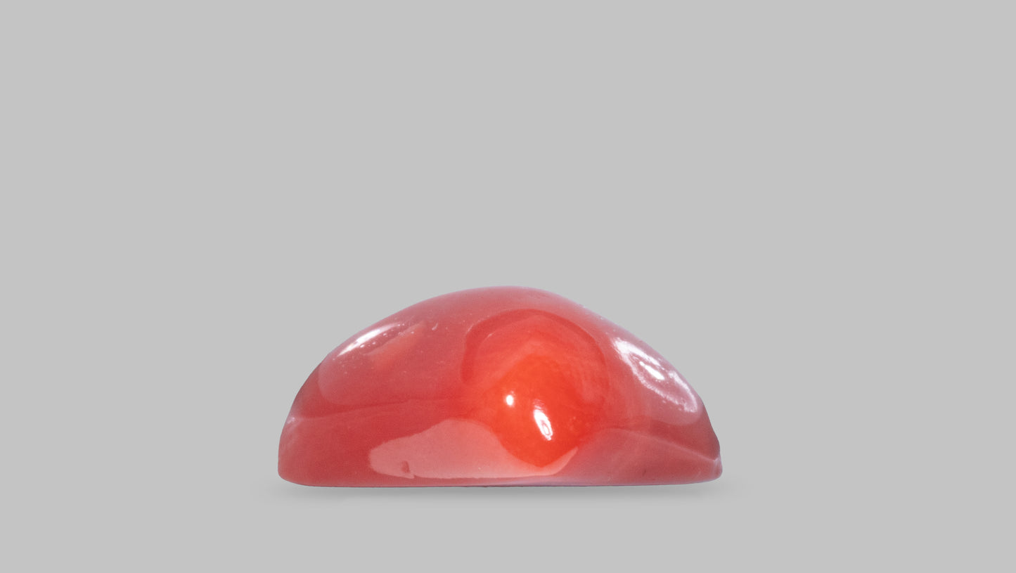 Natural Red Coral (Moonga) 8.65  Carats