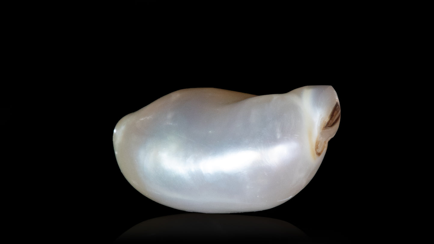 Venezuela Pearl (moti) 4.51 Carats