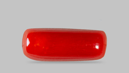 Natural Italian Red Coral (Moonga) 7.61 Carats