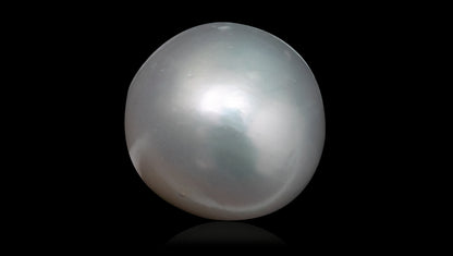 South Sea Pearl 7.59 Carats