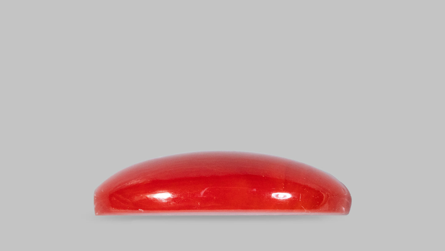 Japanese Red Coral(Moonga) 4.48 Carats