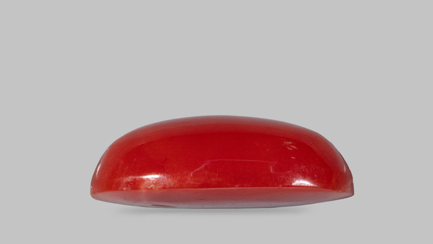 Japanese Red Coral(Moonga) 4.71 Carats