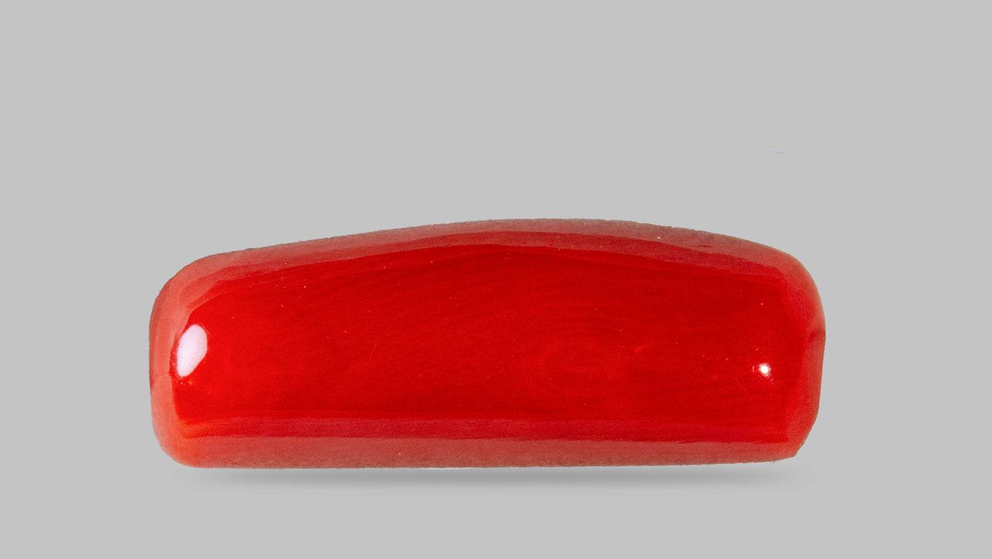 Natural Italian Red Coral (Moonga) 8.40 Carats