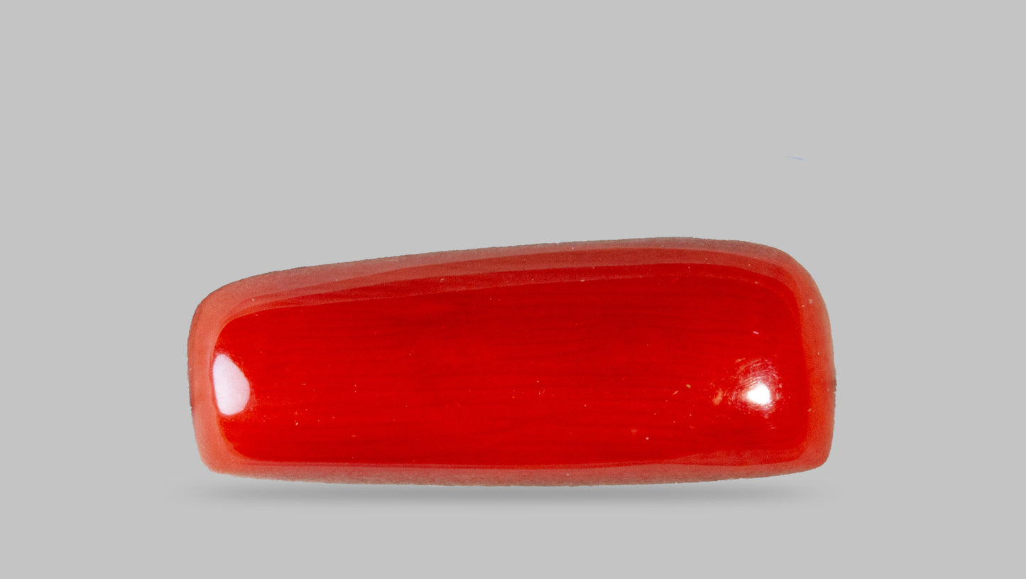 Natural Italian Red Coral (Moonga) 8.65 Carats