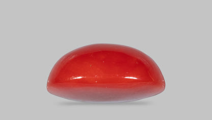 JAPANESE RED CORAL(MOONGA) 5.45 CARATS