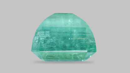 Minor Oil Natural Afganistan Emerald (Panna) 9.64 Carats
