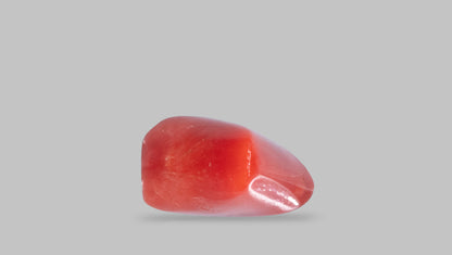 Natural Red Coral (Moonga) 7.48 Carats