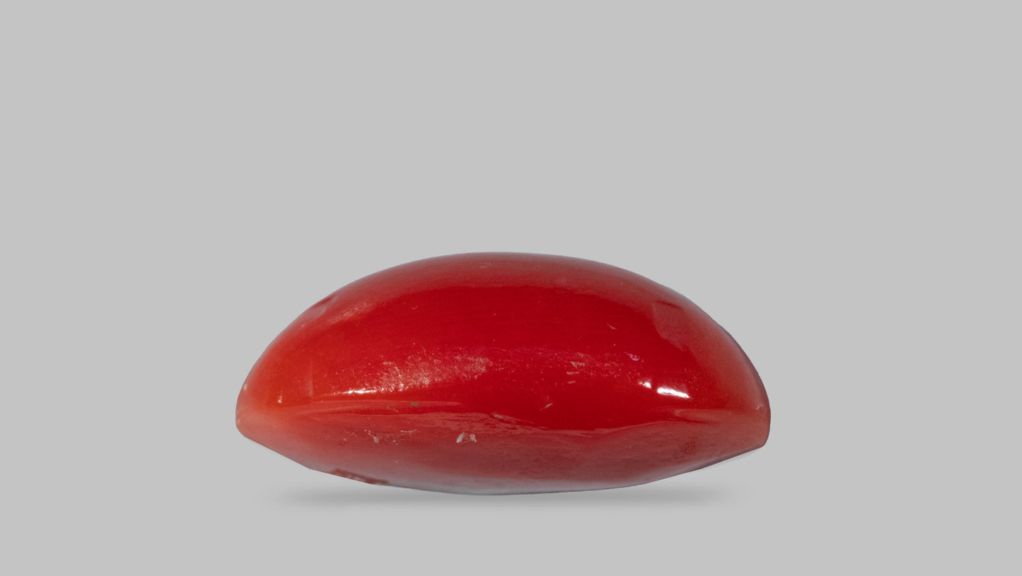 Japanese Red Coral(Moonga) 5.58 Carats