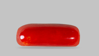 Natural Italian Red Coral (Moonga) 7.73 Carats