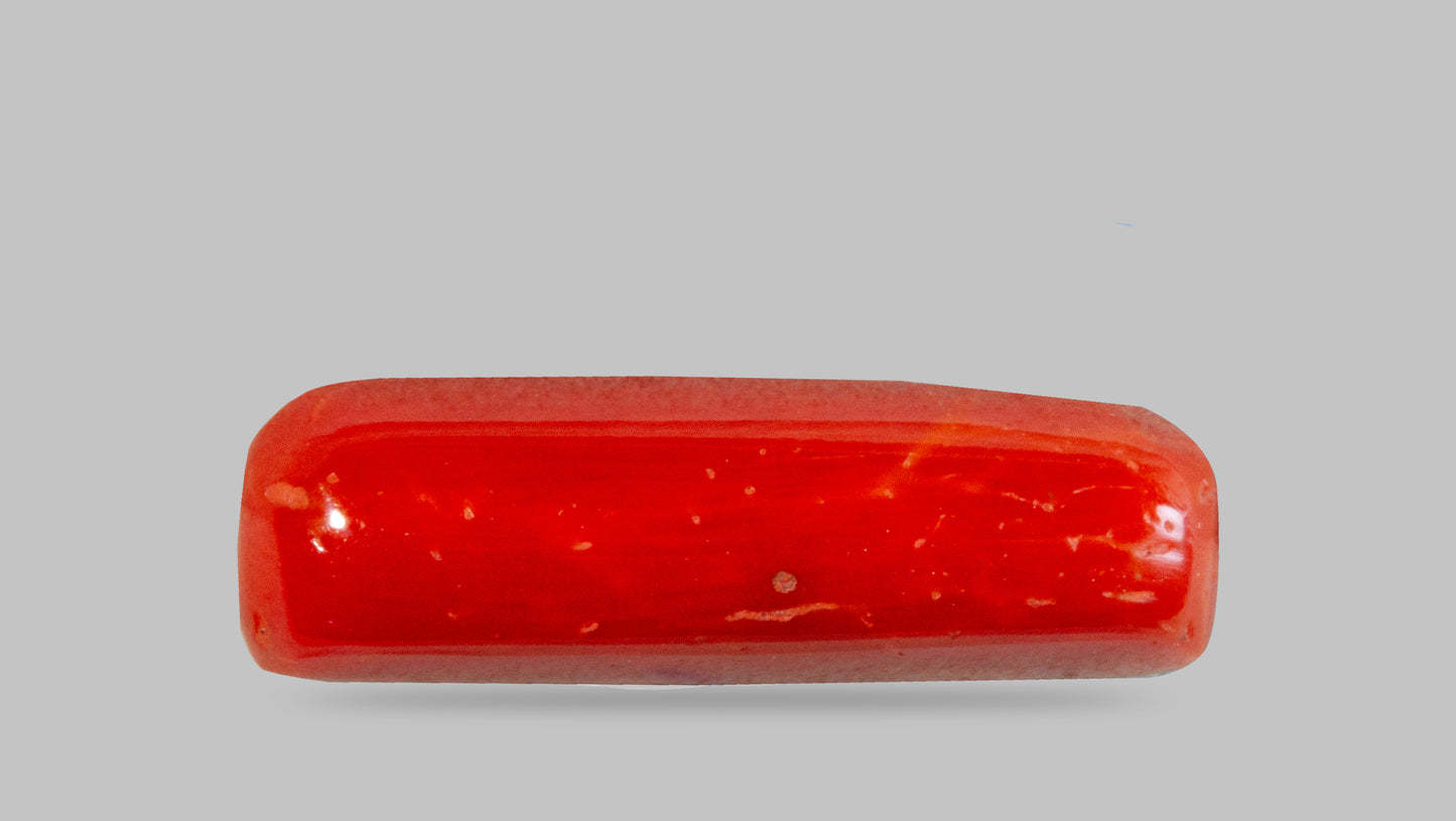 Natural Red Coral (Moonga) 7.06 Carats